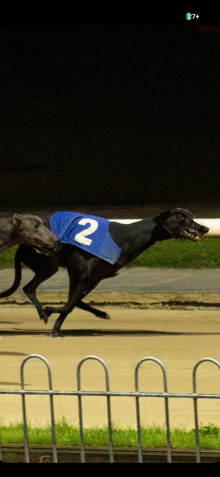 Ballysloe Max : Potential Stayer : September 2024 : 28.68 Cork