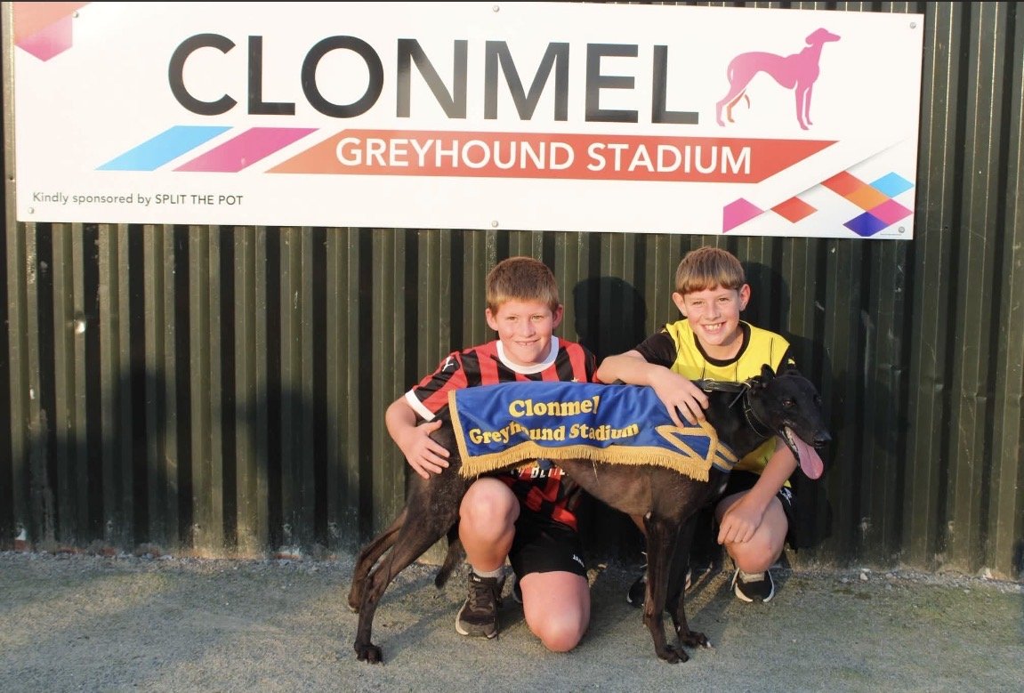Swift Rope : September 2024 : 29.53 Winner Clonmel